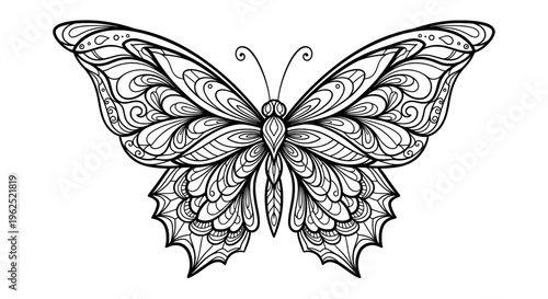 Intricate black and white butterfly with swirling wing patterns