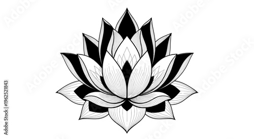 Symmetrical black and white lotus flower line drawing