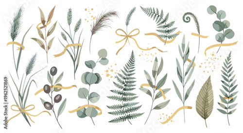 Watercolor botanical elements collection leaves ferns grasses and berries