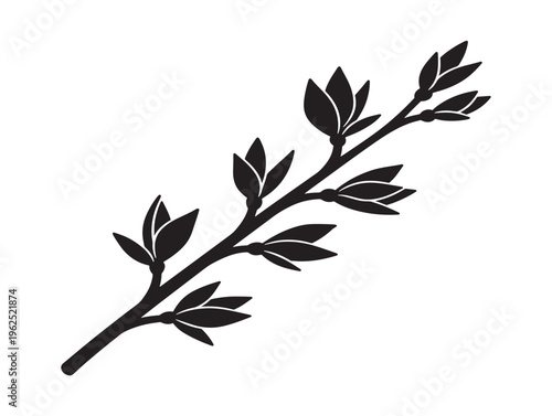 Garden branch elegant botanical silhouette with natural flowing form 
