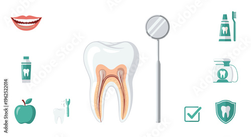 A large cross-sectioned tooth is surrounded by various dental care icons on a plain white background.