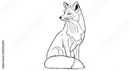 Black and white line drawing of a serene fox sitting with curled tail