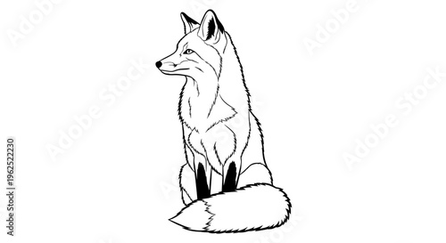 Black and white line drawing of a serene fox sitting