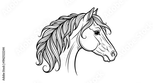 Serene black and white horse head with flowing mane