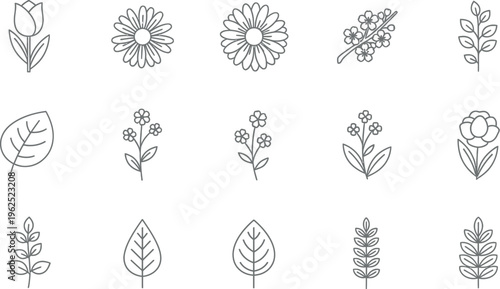 A versatile collection of minimalist outline vector icons depicting various delicate flowers and botanical leaves, ideal for spring nature-themed designs and digital elements.