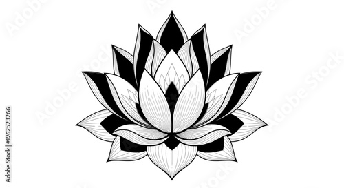 Symmetrical black and white lotus flower line drawing