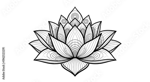 Intricate black and white lotus flower line drawing