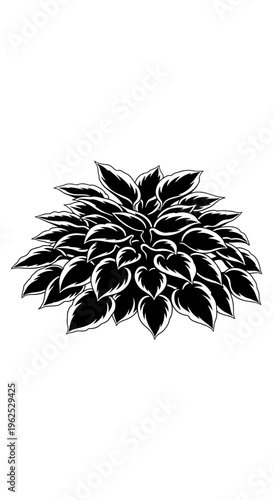 Black and White Vector Illustration of a Lush Hosta Plant
