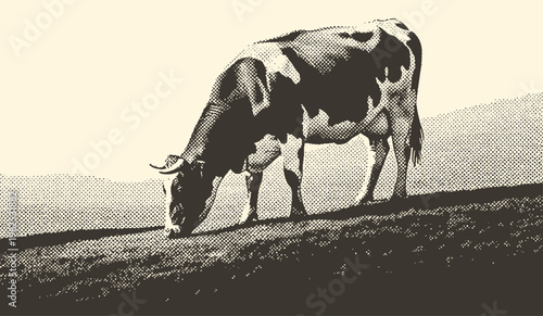 Cow Grazing on a Meadow Hill Vintage Halftone Illustration
