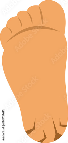 Vector illustration showing the underside of a human foot with detailed toe and sole features