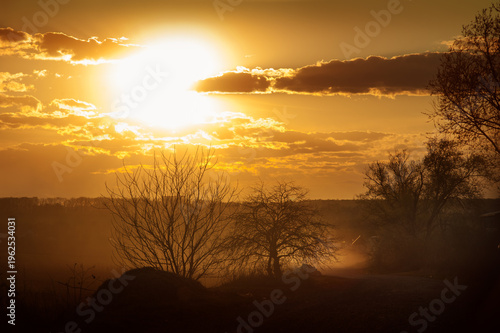 landscape at sunset, light fog or haze over the field and silhouettes of trees