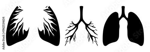 Lungs silhouette set with medical illustration and abstract outline featuring anatomy, respiration, human body with vector and graphic