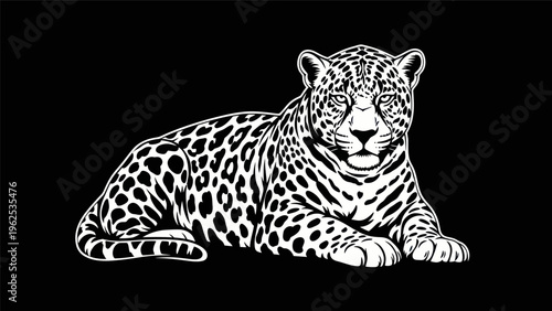 Jaguar illustration against black background