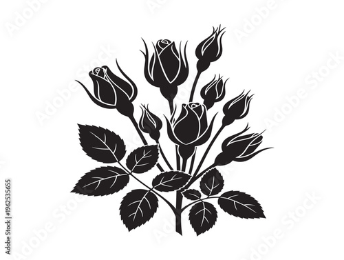 Lovely rose buds and leaves silhouette with romantic garden charm