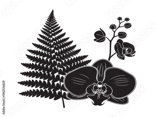 Exquisite fern and orchid silhouette vector with graceful layered botanical details