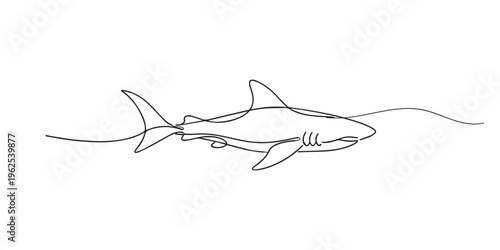 single line shark.continuous line drawing of shark swimming in ocean.marine predator concept.one line vector illustration.