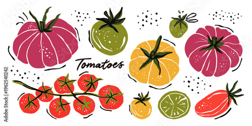 Tomato Illustration Set Hand Drawn Cherry Heirloom Grape Plum Sliced Vegetables Organic Fresh Produce Vector