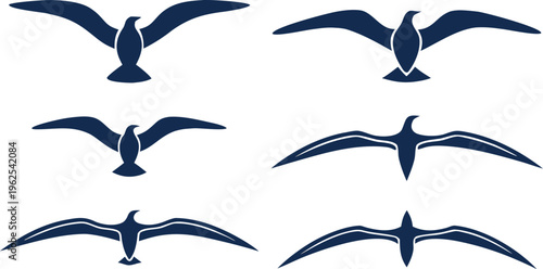 Dark blue seagull silhouettes in various flying positions seagulls bird silhouettes