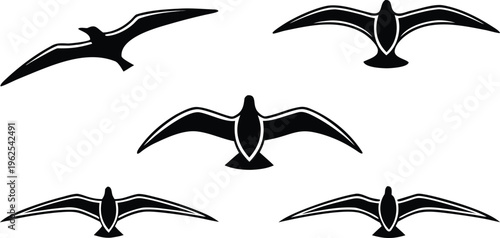 Black silhouettes of seagulls in flight on white background birds