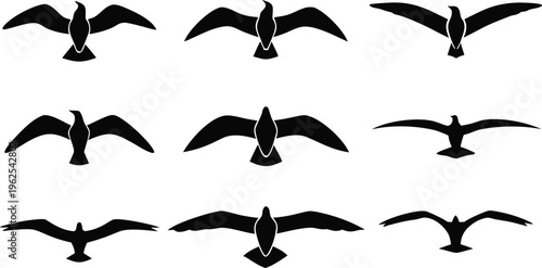 Black silhouettes of seagulls in various flying positions bird silhouettes flying birds