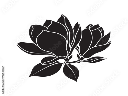 Elegant magnolia blossom silhouette vector with sophisticated southern charm line art