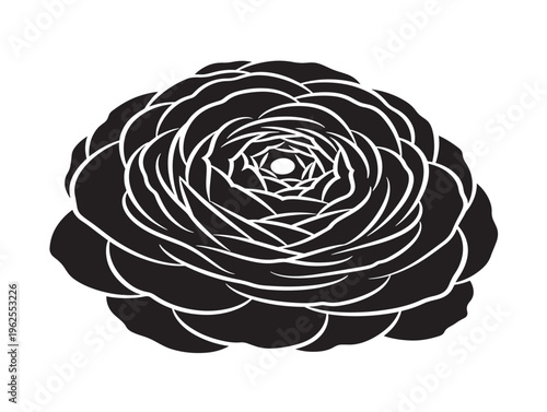 Vibrant ranunculus bloom silhouette vector with lush layered petal details