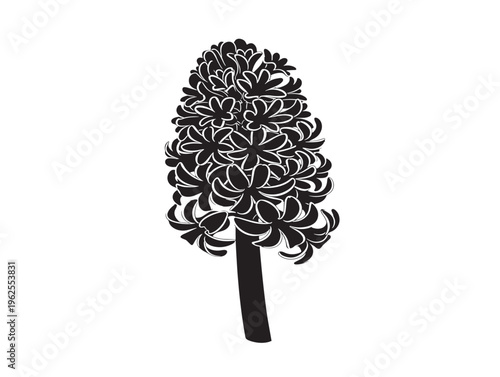 Charming hyacinth flower silhouette vector with dense bell shaped blooms