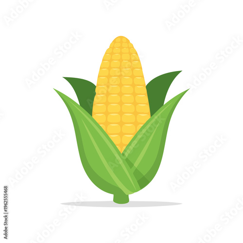 Fresh Corn Cob With Green Leaves Vector Illustration