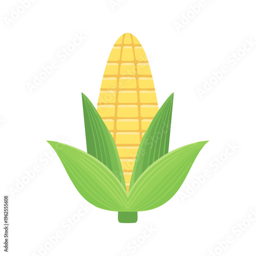 Isolated yellow corn cob with green leaves, stylized illustration