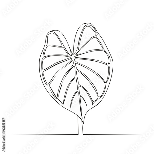 Abstract Line Art Taro Leaf Illustration on White