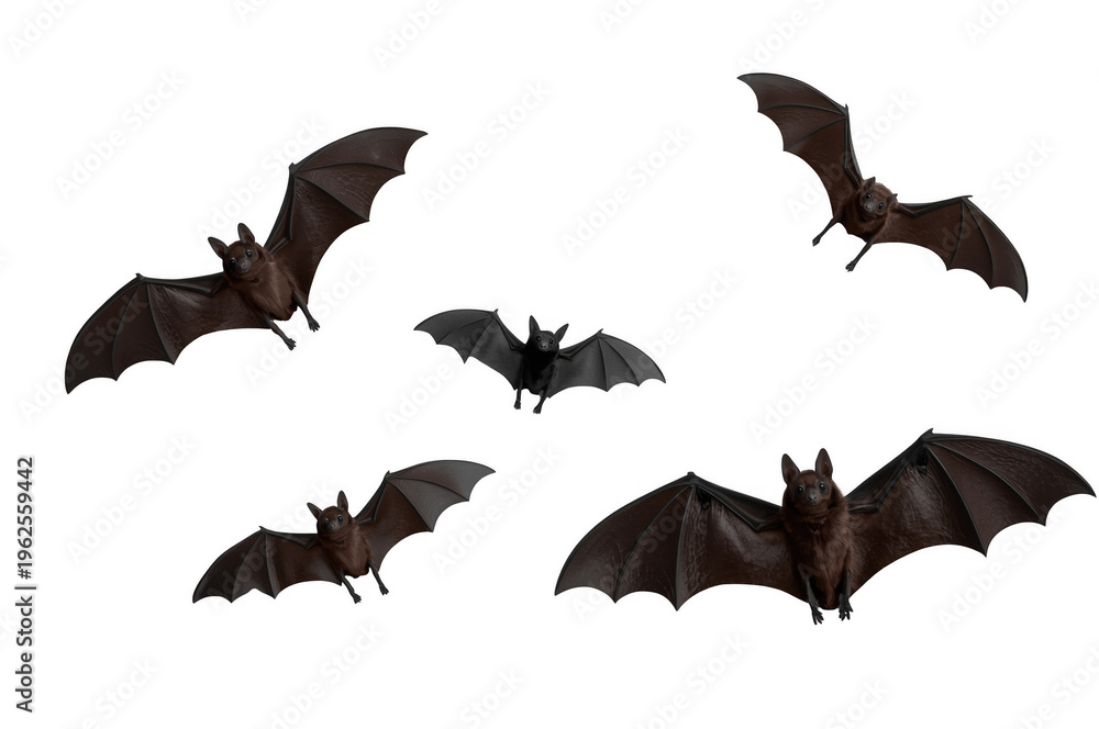 Fototapeta premium Bats flying set on transparent background
