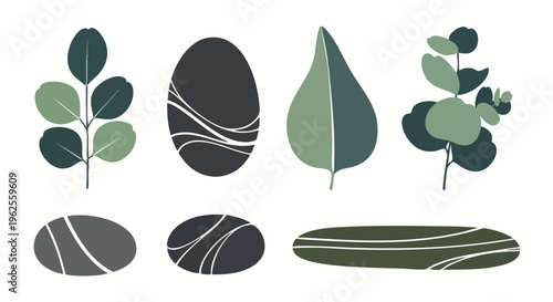 Set of stylized eucalyptus leaves and decorative stones with abstract wavy lines on a white background
