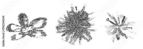Obraz na płótnie Halftone dot flowers, hand drawn stipple daisies