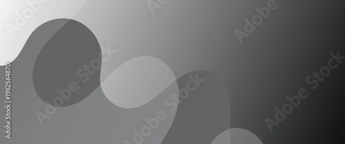 Flowing grayscale background. Abstract curves and gradients. Minimalist style elegant wallpaper. Clean minimal design ideal for website header, presentation, banner,