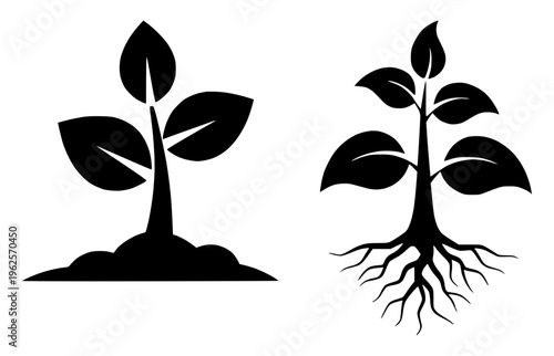 Two vector illustrations of plants, one with roots and one growing from soil