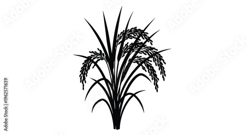 Black graphic of rice stalks and grains a striking silhouette