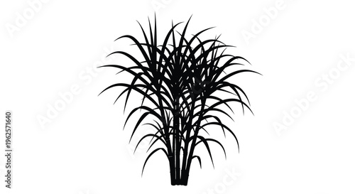 A striking black silhouette of tall ornamental grass blades