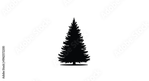 Lone evergreen tree against a white background dramatic silhouette