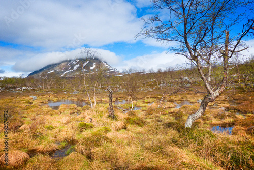 Saanatunturi mountain in in...