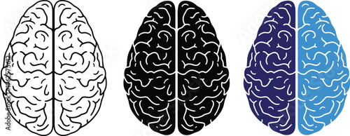 Vector brain illustrations monochromatic and dichotomous hemispheres