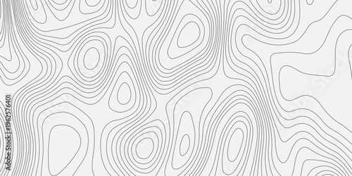 Grey topographic map contour lines on white background. Abstract geographic map pattern. Vector elevation terrain relief.