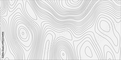 Grey topographic map contour lines on white background. Abstract geographic map pattern. Vector elevation terrain relief.