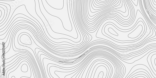 Grey topographic map contour lines on white background. Abstract geographic map pattern. Vector elevation terrain relief.