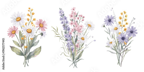 Watercolor wildflower bouquets white daisies purple lavender pink flowers