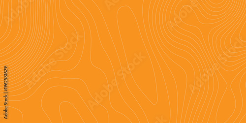 Orange topographic map background with thin contour lines, abstract geographic relief pattern, minimal vector texture