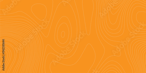 Orange topographic map background with thin contour lines, abstract geographic relief pattern, minimal vector texture
