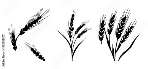 Wheat stalk silhouette set with stylized single-line hexagonal grain outline featuring agriculture, crop, field with natural and botanical