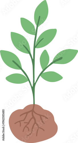 tree planting day Arbor Day vector illustration