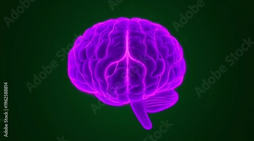 Glowing purple brain on dark background, neuroscience concept
