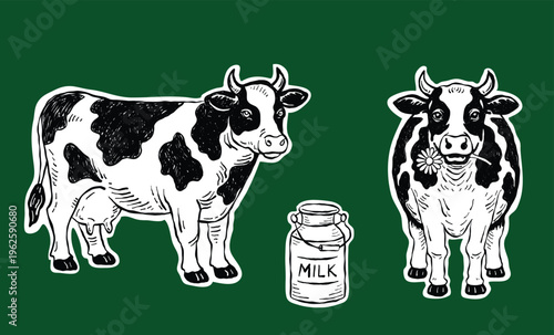A charming hand-drawn illustration set featuring two cows and a classic milk can in a vintage sketch style for agricultural designs, organic food branding, packaging, and rustic-themed projects.